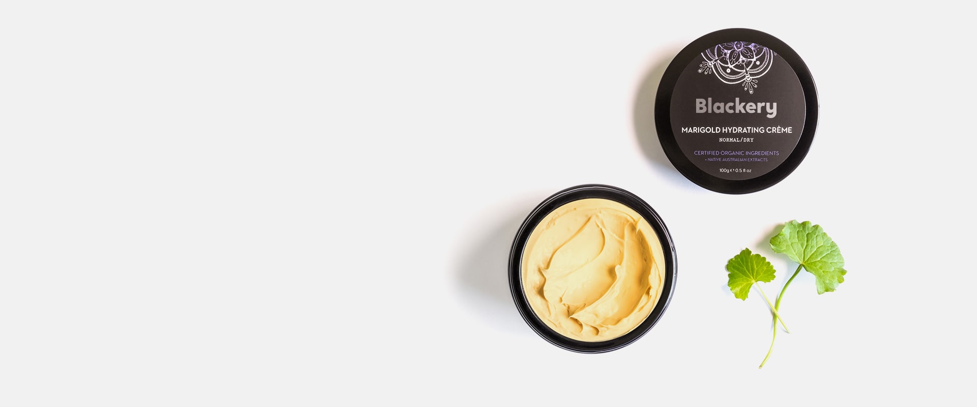 NEW SHAMPOO<br> COLLECTION 2019